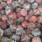 Plum